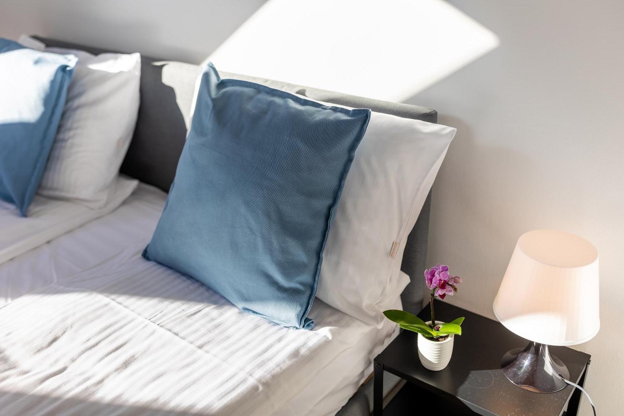 Apartment With Entresol Old Town 크라쿠프 외부 사진