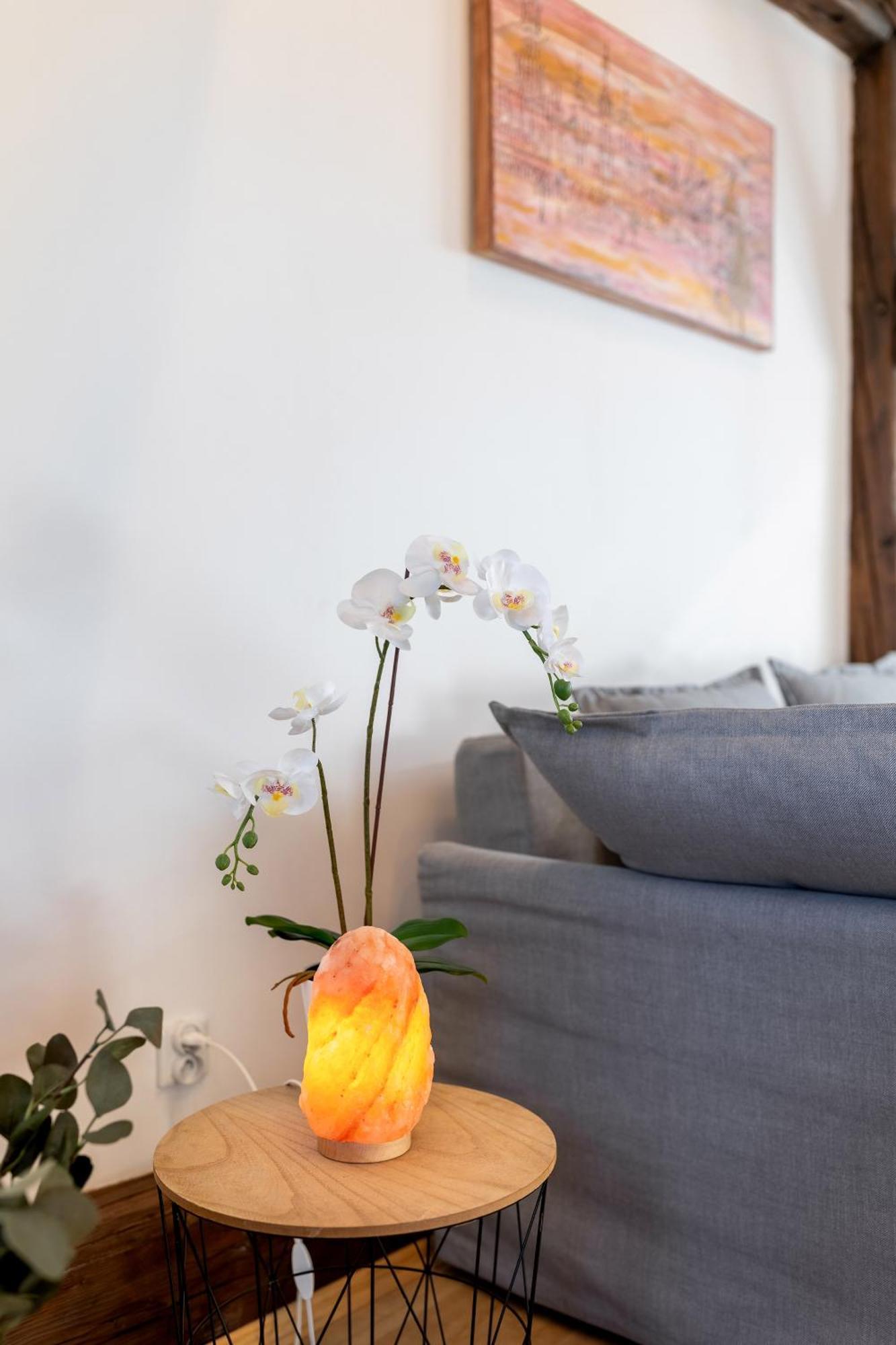 Apartment With Entresol Old Town 크라쿠프 외부 사진