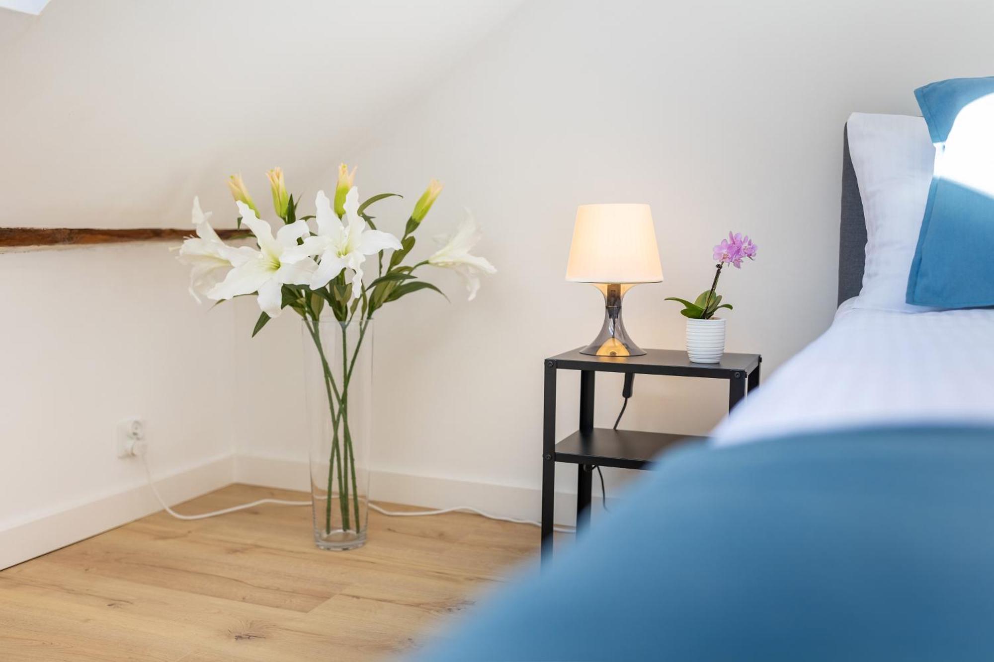 Apartment With Entresol Old Town 크라쿠프 외부 사진