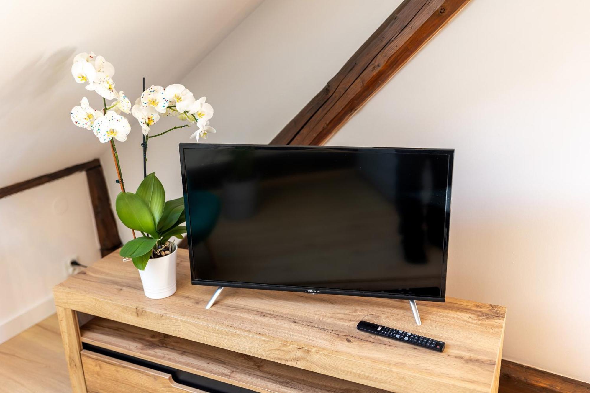 Apartment With Entresol Old Town 크라쿠프 외부 사진